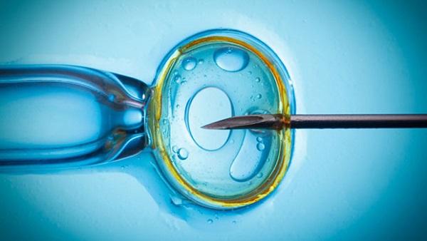 fecundaci�n in vitro