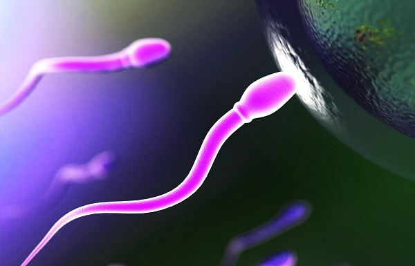 disminuci�n de la producci�n de espermatozoide